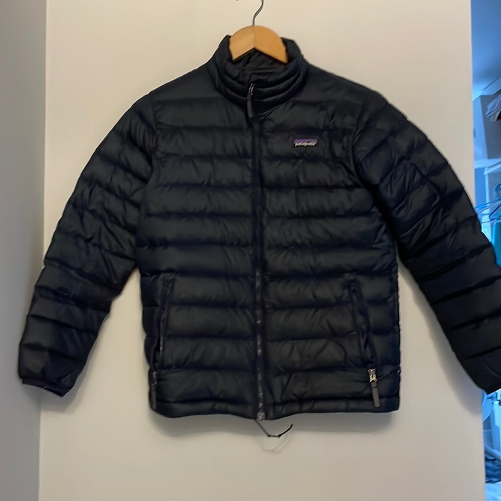 Patagonia puffer
